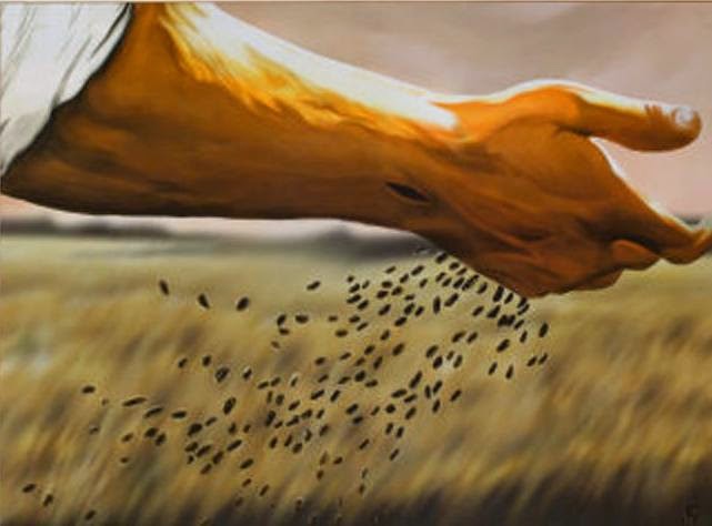 LITURGIA Julio 3   La fecundidad del Reino y la precariedad de medios