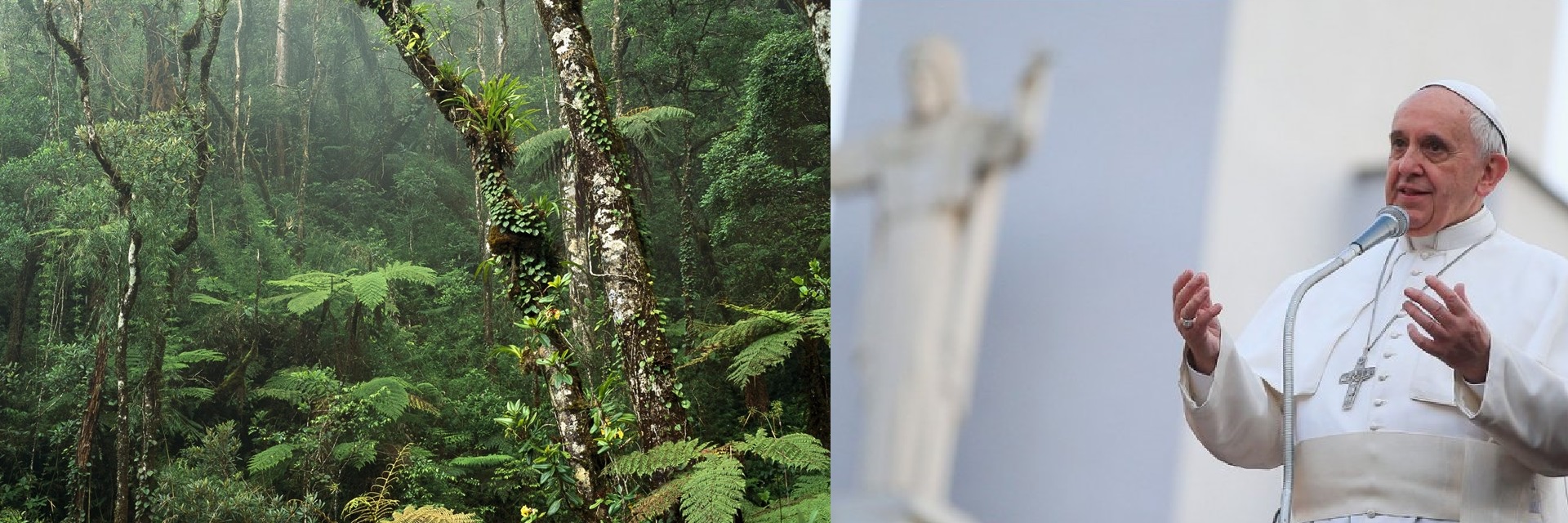 El cristiano que no se preocupa de la creación no se preocupa del trabajo de Dios