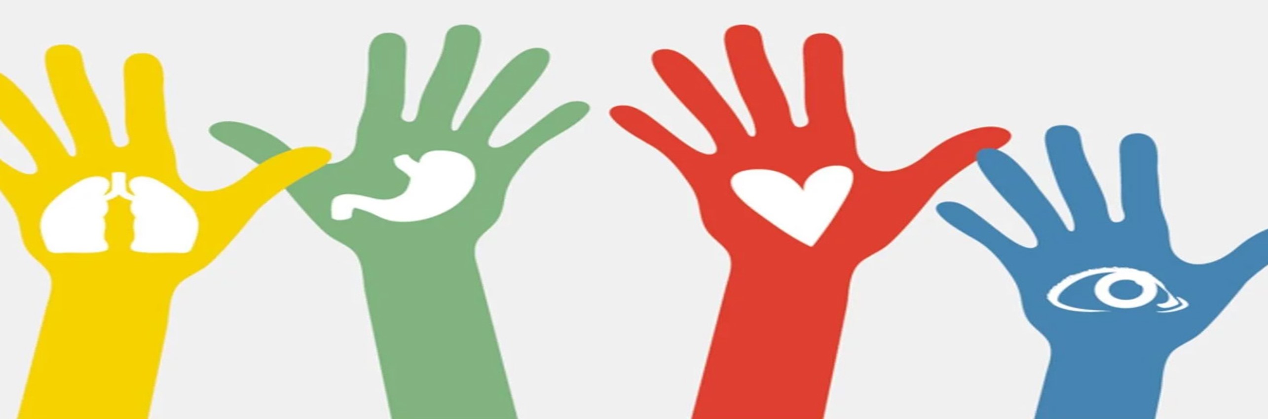 La donación de órganos es un acto noble y meritorio