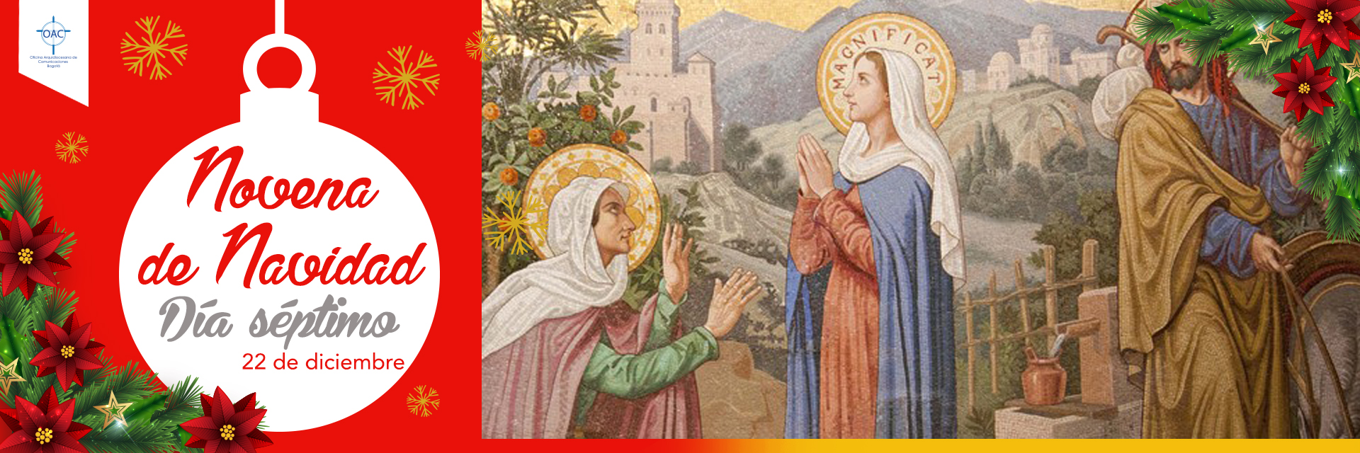 Un corazón nuevo vence la indiferencia y conquista la paz