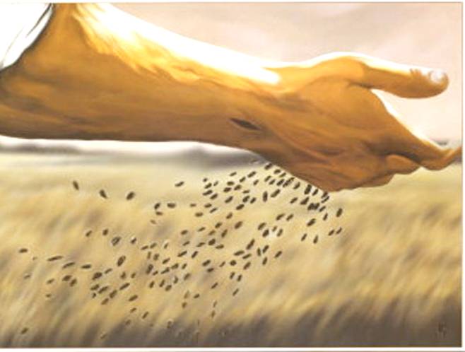 LITURGIA Junio 17 El Reino brota a partir de lo sembrado en cada ser humano