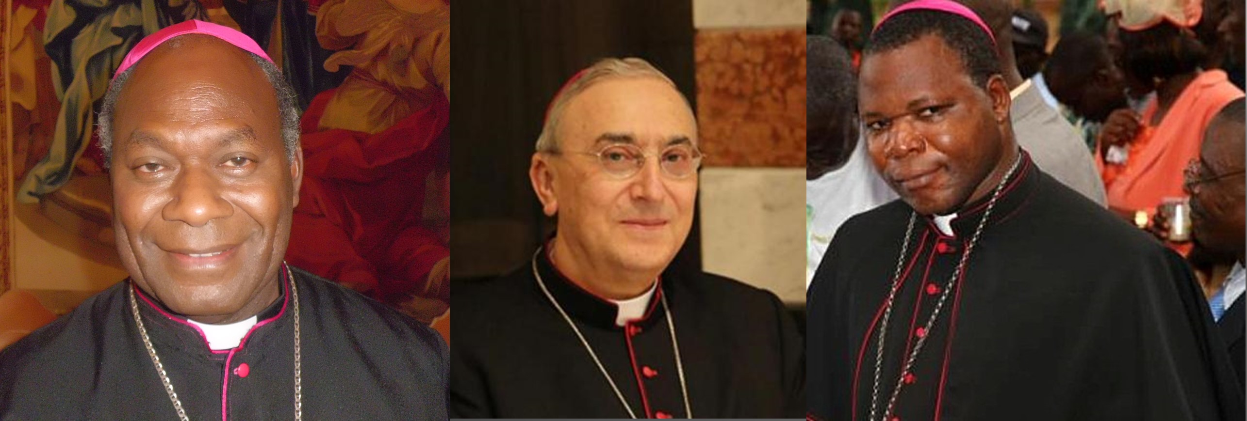 Los nuevos cardenales del Papa