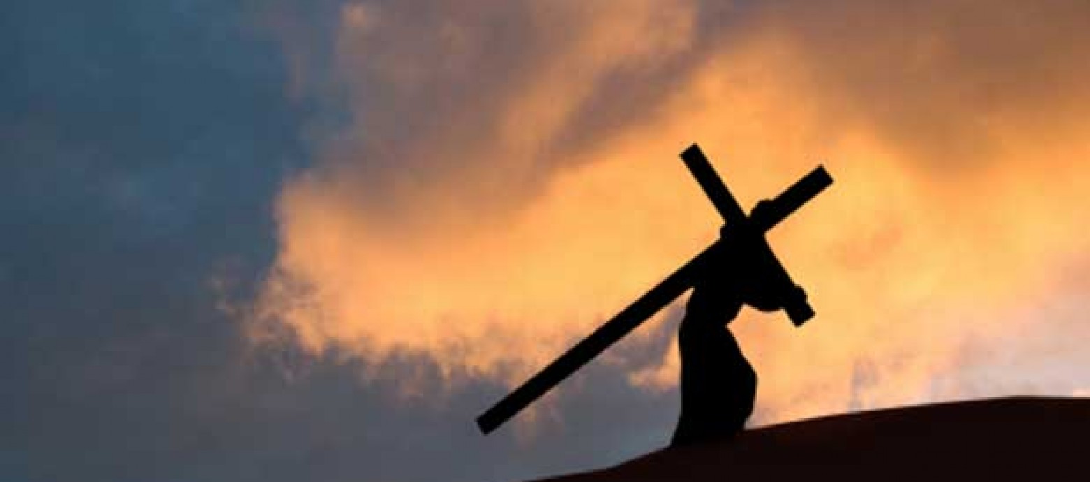 “Nuestras divisiones afean la única túnica de Cristo”