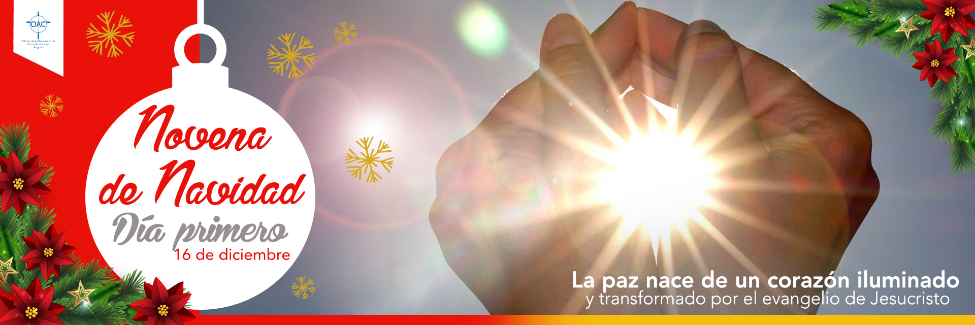 La paz nace de un corazón iluminado y transformado por el Evangelio de Jesucristo