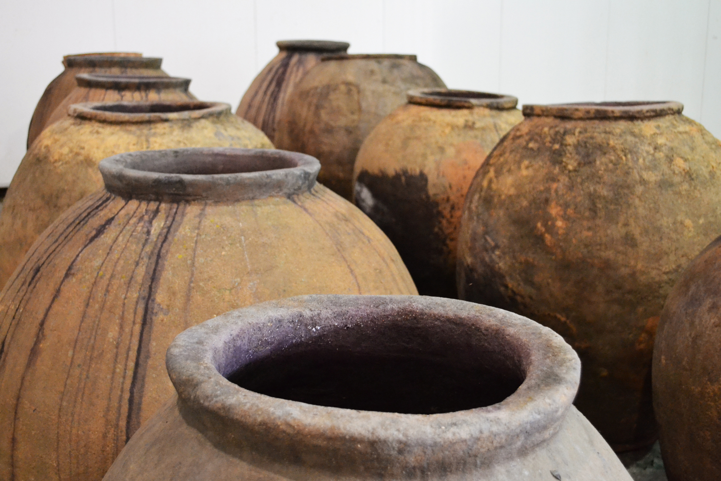 No se brinda con té, sino con vino