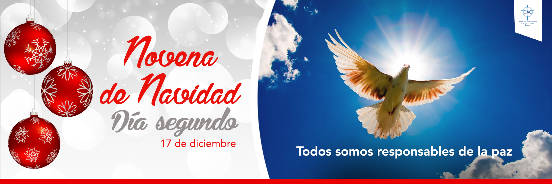 Todos somos responsables de la paz