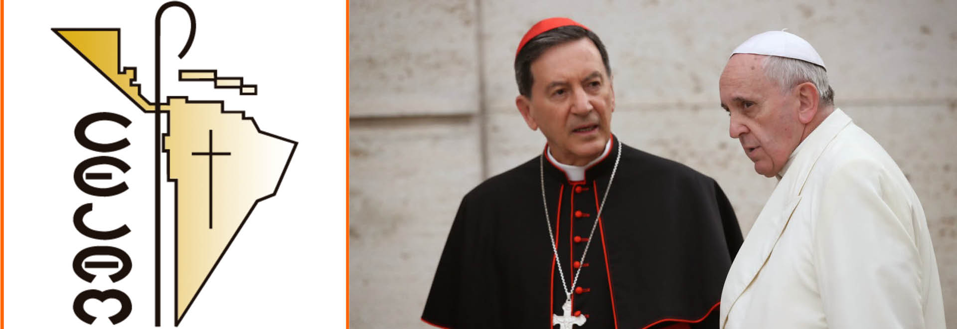 El señor cardenal Rubén Salazar Gómez ha tenido una audiencia con el Papa