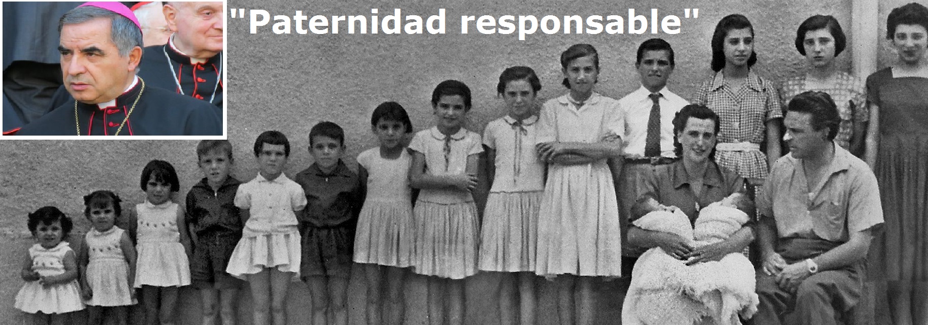 Papa Francisco disgustado por el desconcierto de sus declaraciones sobre las familias numerosas