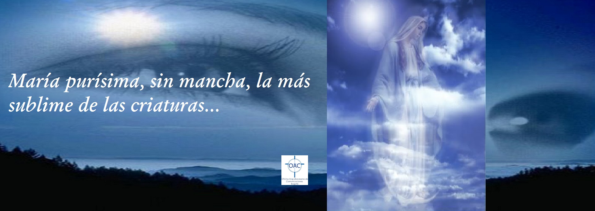 Inmaculada Concepción de María