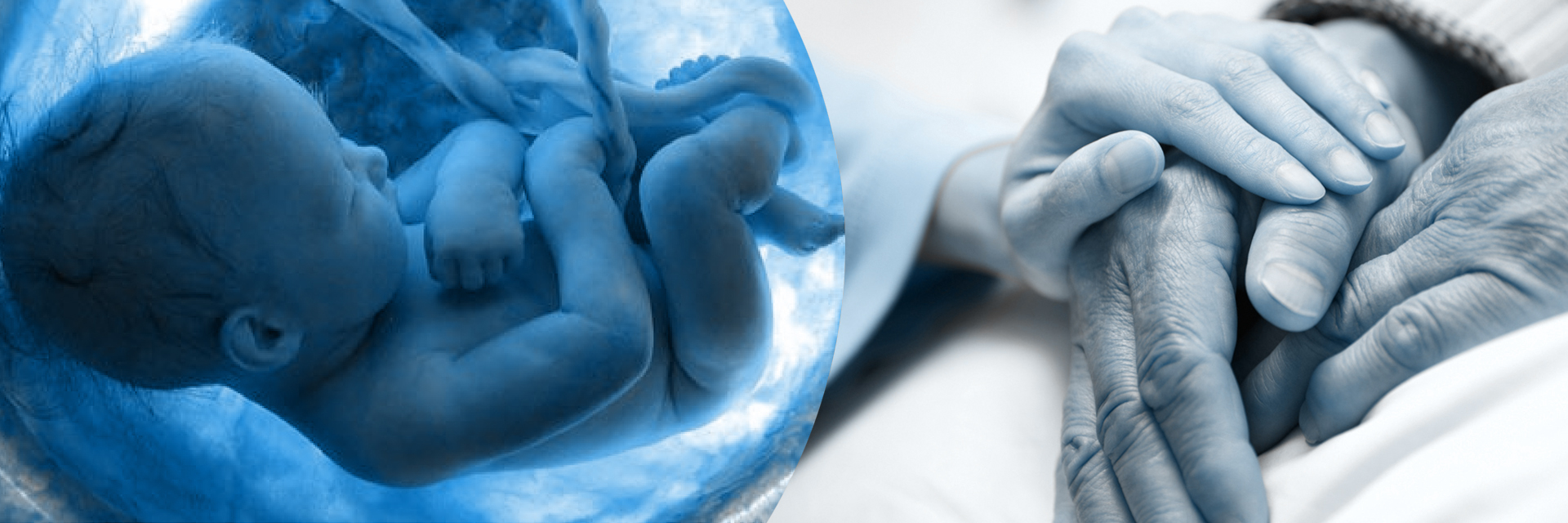 La Iglesia Católica reitera su firme desaprobación a las recientes decisiones de la Corte Constitucional