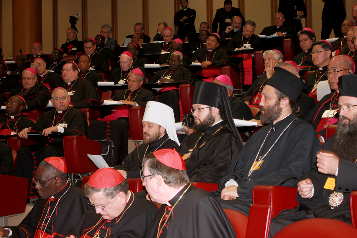 El Sínodo no quiere centrarse en los “casos” especiales