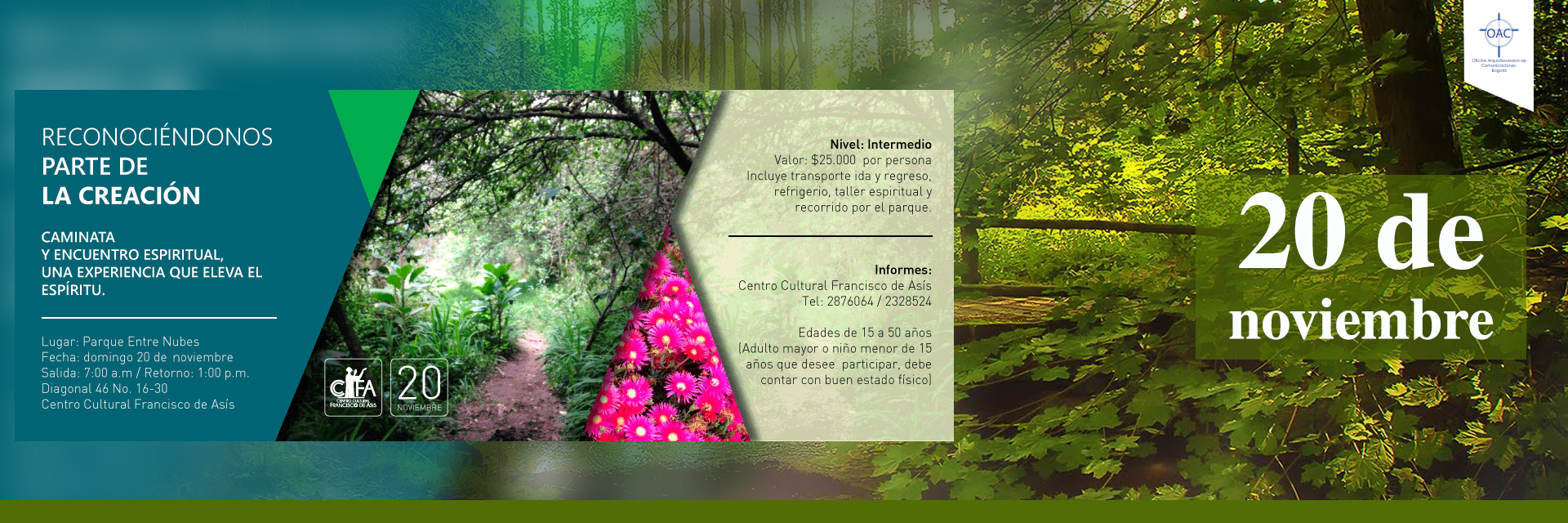 Reconociéndonos parte de la creación