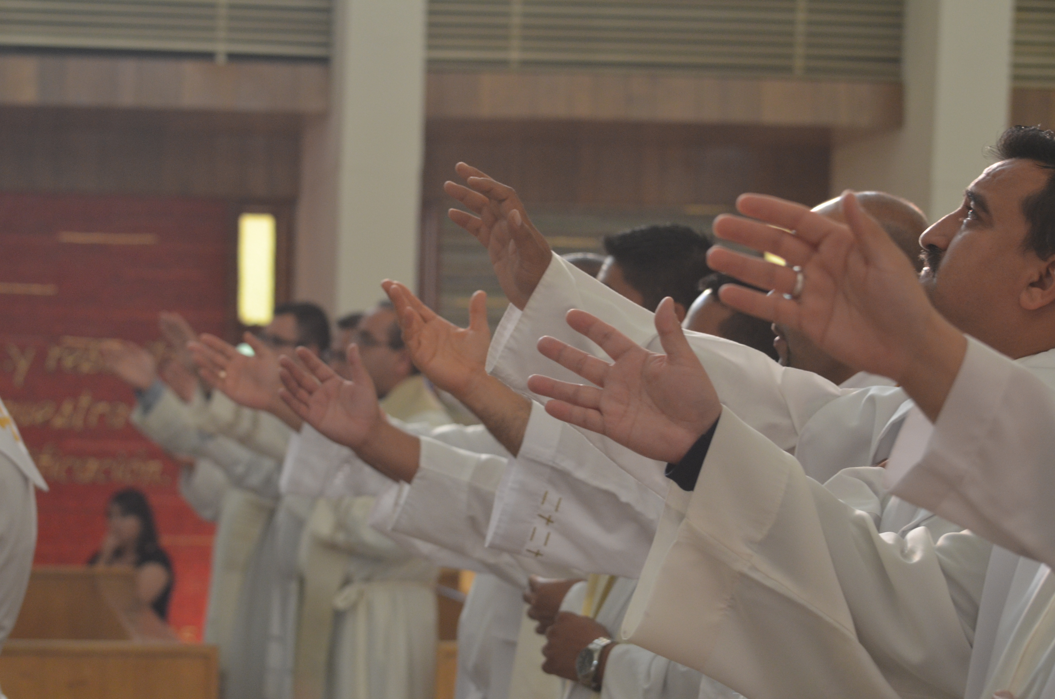 Misioneros de la Misericordia para Colombia