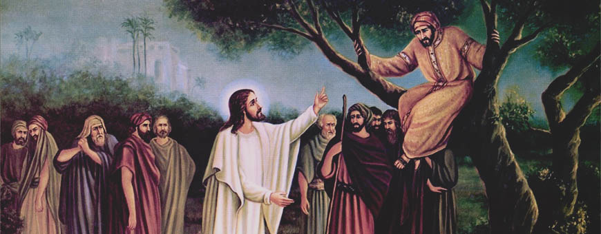 LITURGIA Noviembre 3 Una mirada que supera los anhelos humanos