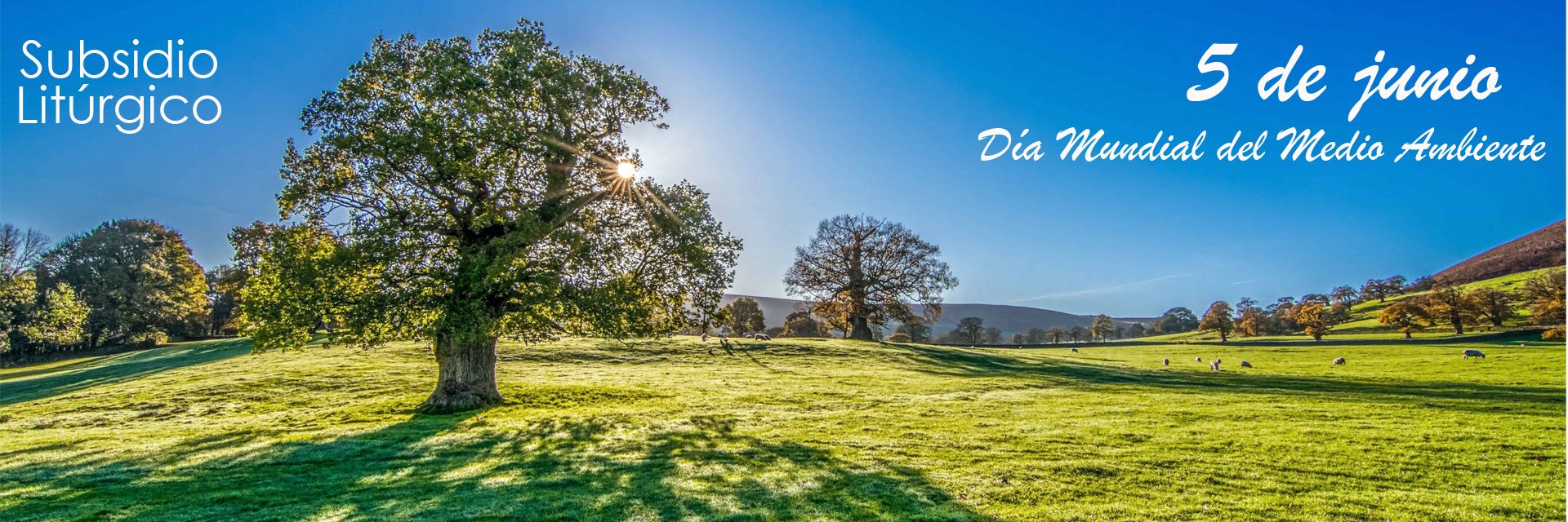 Subsidio litúrgico: Día del Medio Ambiente, 5 de junio