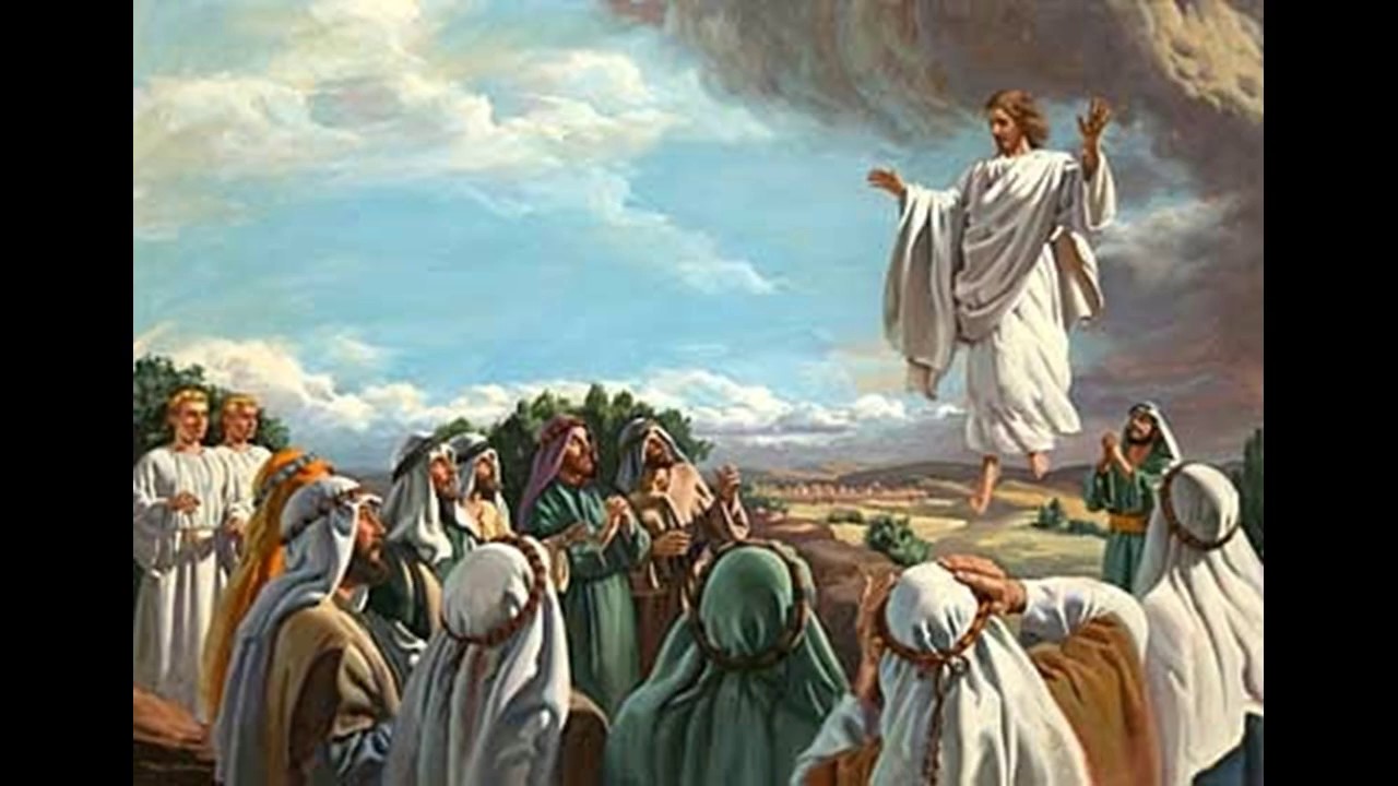 LITURGIA Mayo 24 Comunión de vida y comunión en la misión