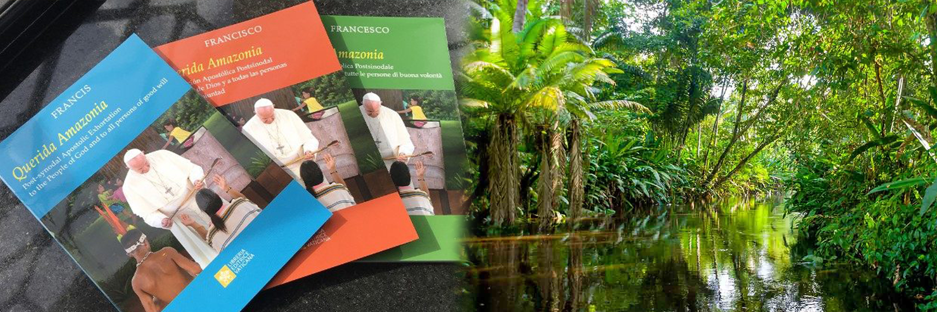 La Iglesia debe convertirse en protectora de las comunidades y del medio ambiente