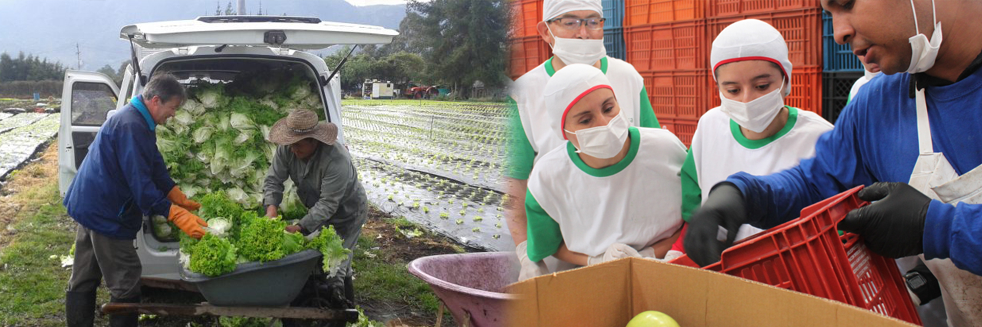 Bancos de Alimentos mejoran su capacidad logística