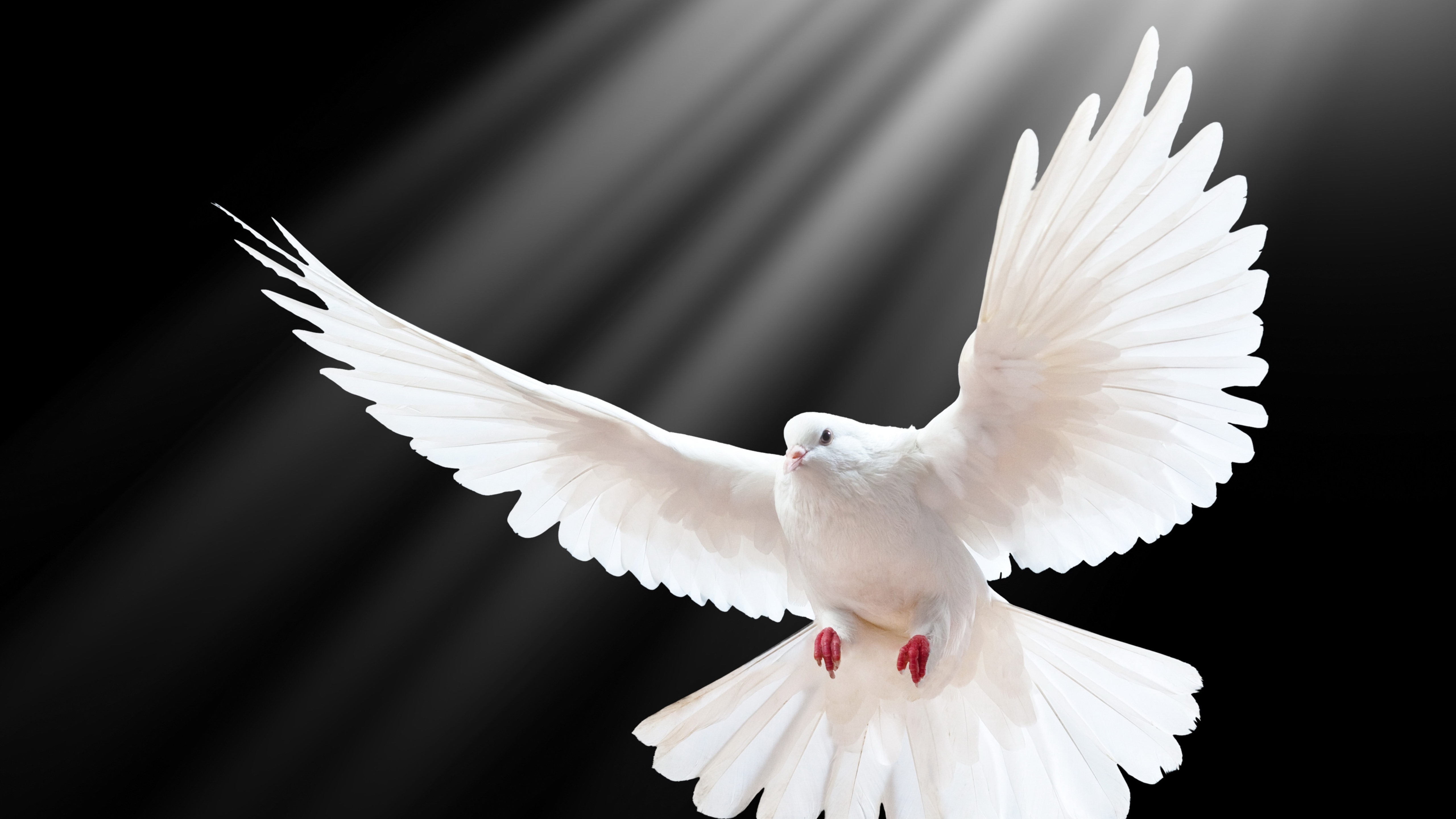 Hoy 8 de junio, estés donde estés, ofrece un minuto por la paz