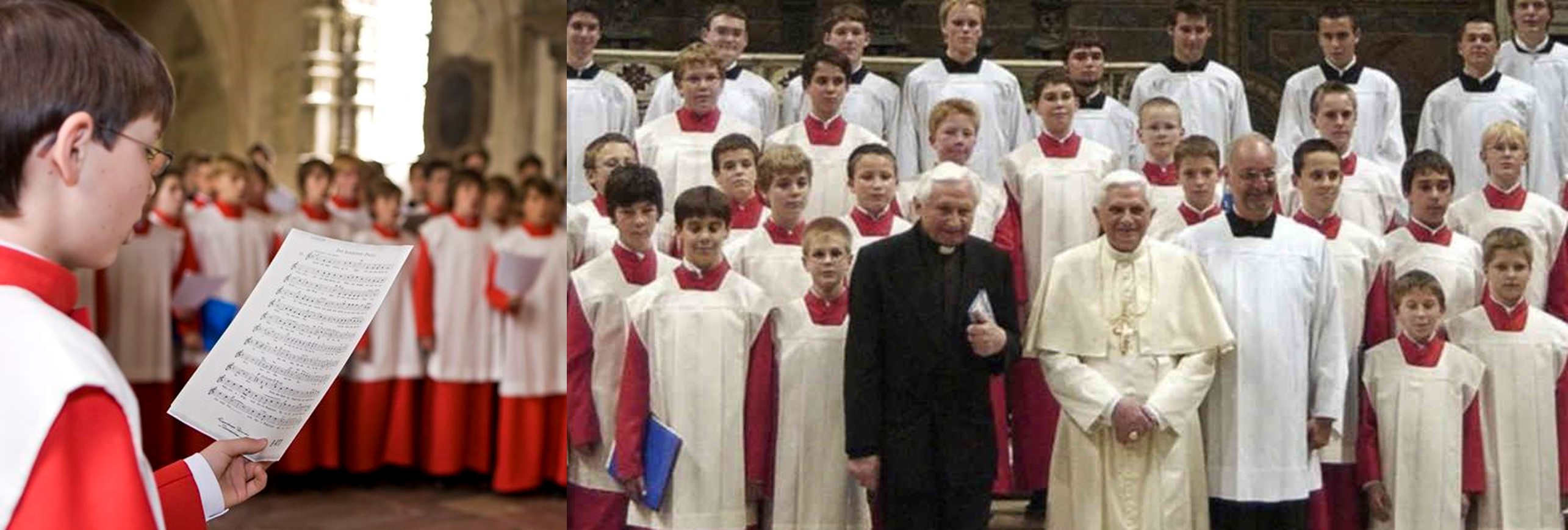 Los gorriones de la catedral de Ratisbona, un caso en investigación