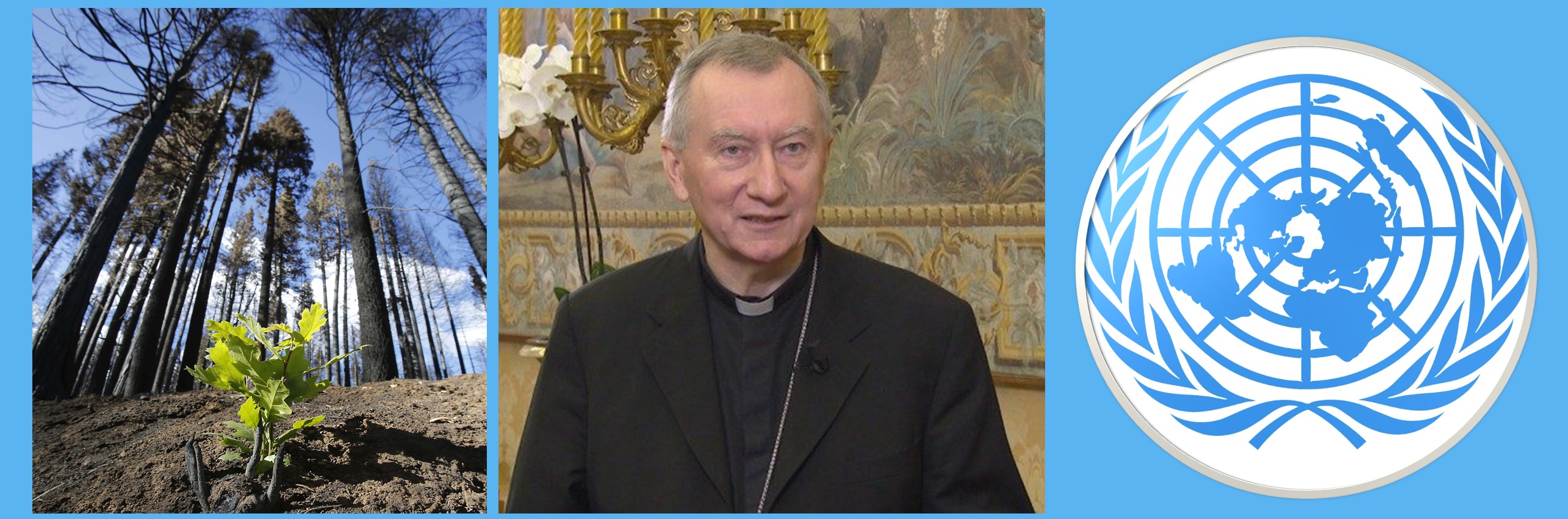 Soluciones urgentes y duraderas