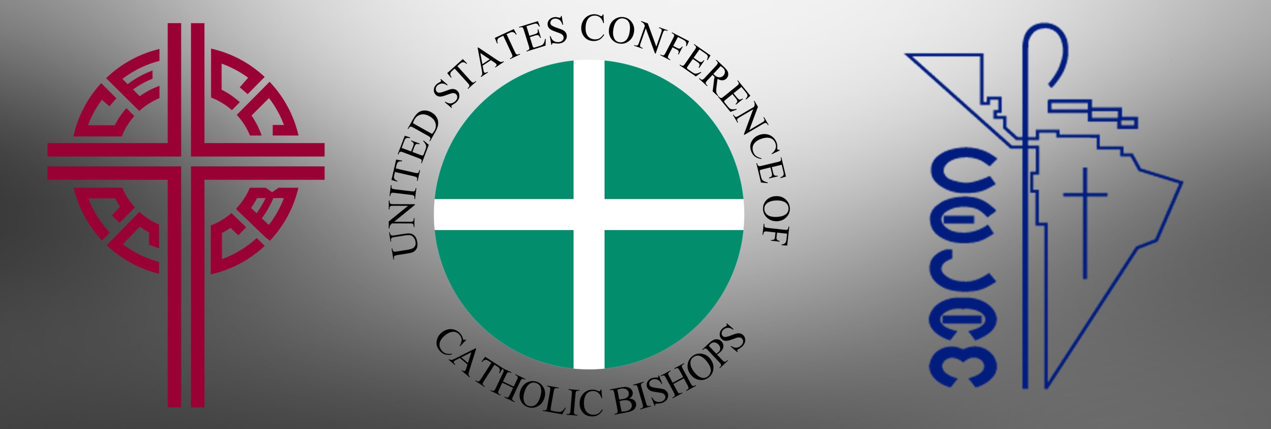 La crisis y la Exhortación: temas que analizarán los obispos de América