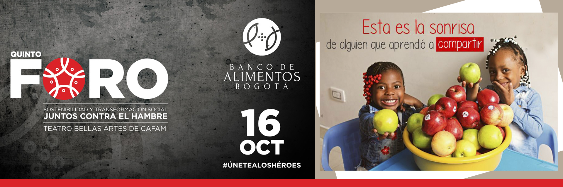 V Foro Sostenibilidad y Transformación Social ¡Juntos contra el hambre!