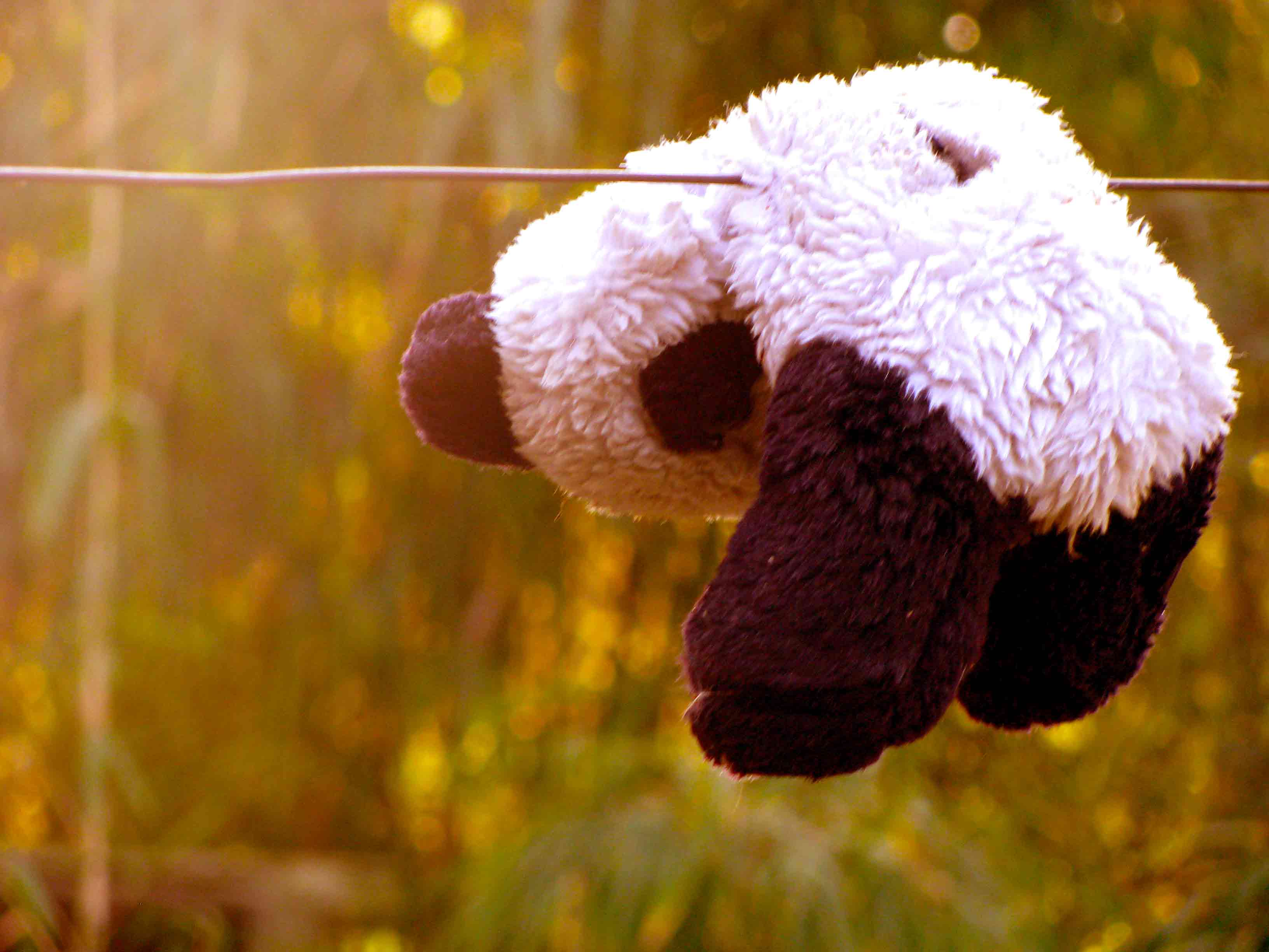 El Papa y la Pontificia Comisión para la Protección de Menores: "Hemos llegado tarde"