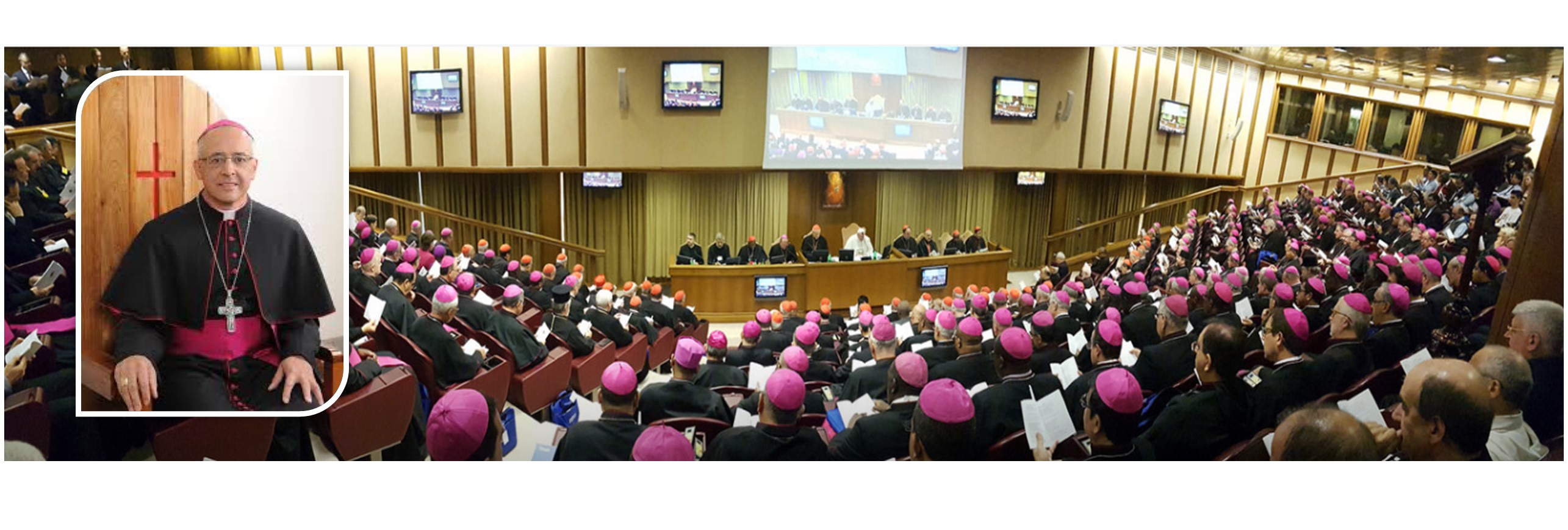 El obispo de Ocaña, Gabriel Ángel Villa-Vahos, presentó su intervención en el sínodo