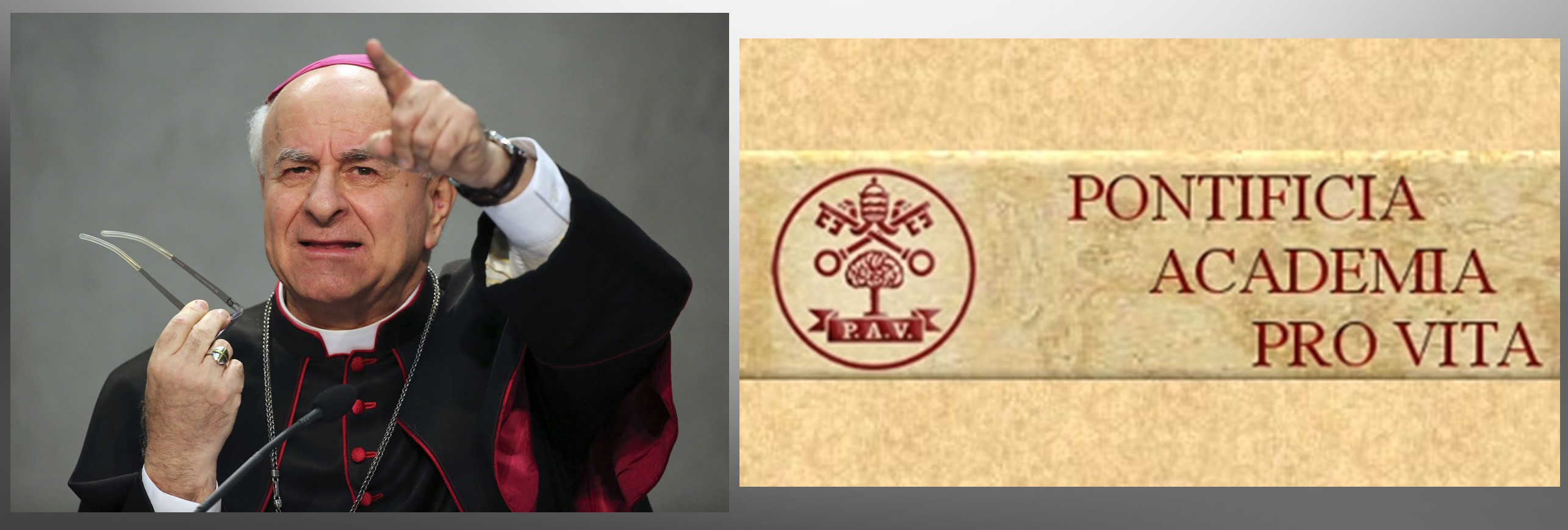 Francisco abrirá la primera asamblea plenaria de la reformada Pontificia Academia para la Vida