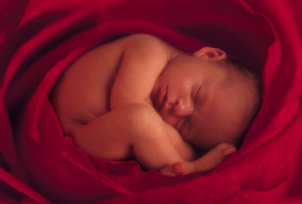 Estar contra el aborto no es cosa de cristianos solamente, es de seres humanos