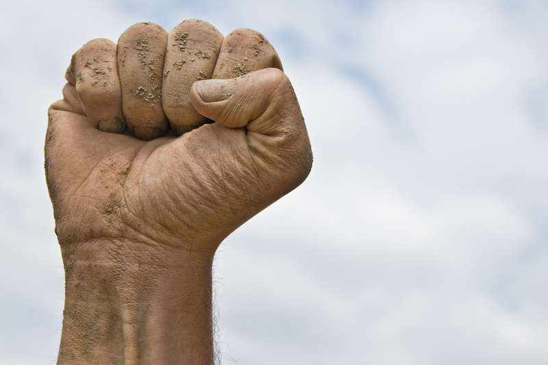Fuerza de voluntad, vale la pena…