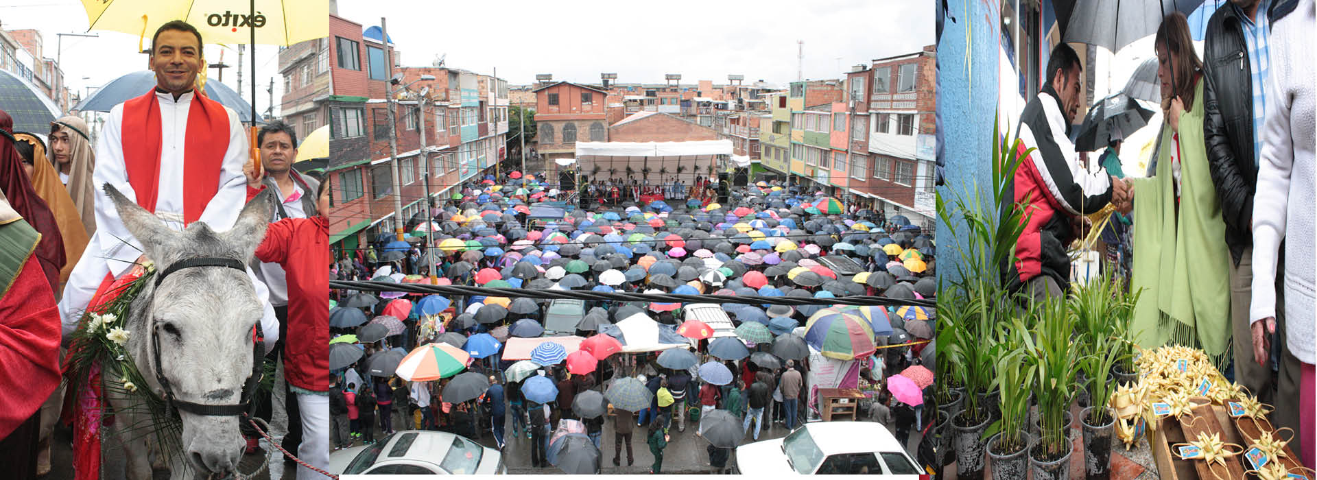 Domingo de Ramos en Bogotá