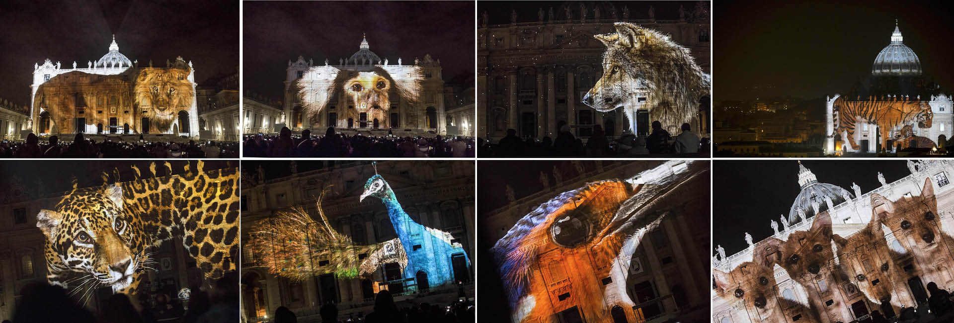 La naturaleza ilumina El Vaticano