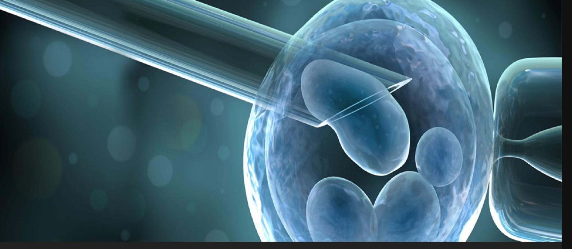 La eugenesia de origen nazi está detrás del aborto por casos de Zika