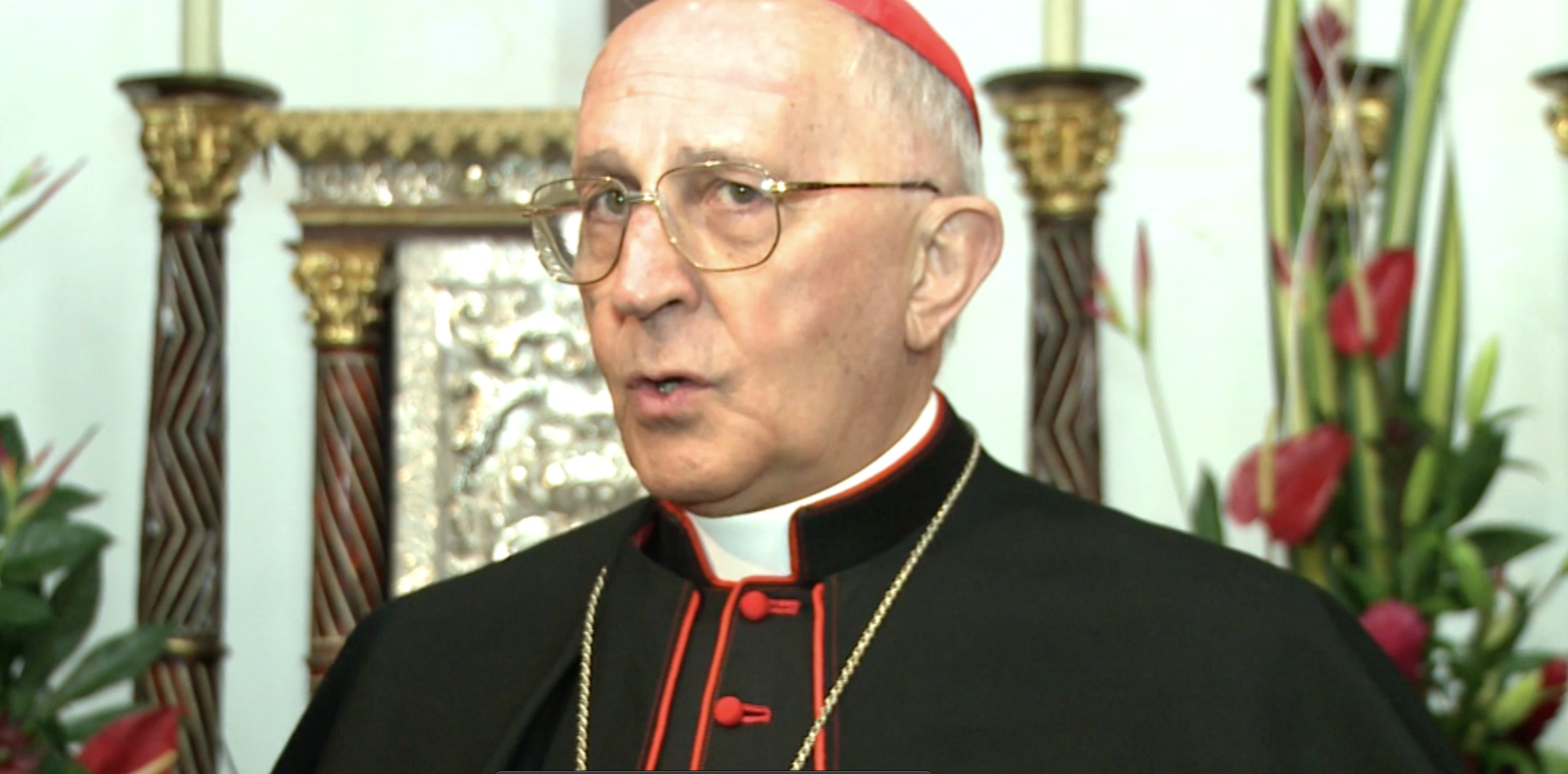 Comenzó en Roma la Asamblea General de las Obras Misionales Pontificias