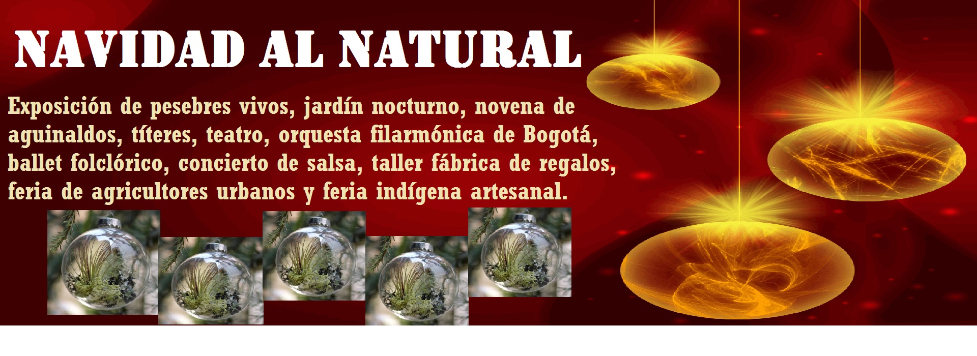 Navidad al natural 2014