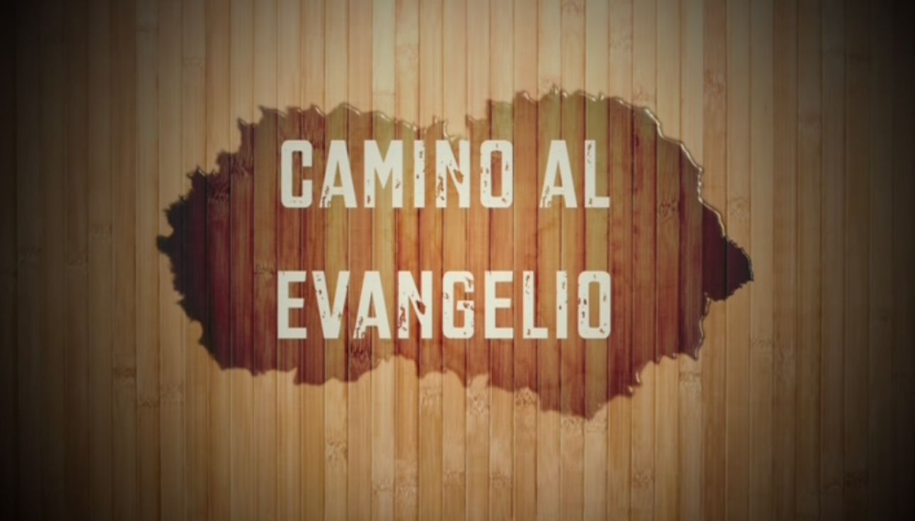 Encuentro con Jesucristo en la calle y en la acción misericordiosa