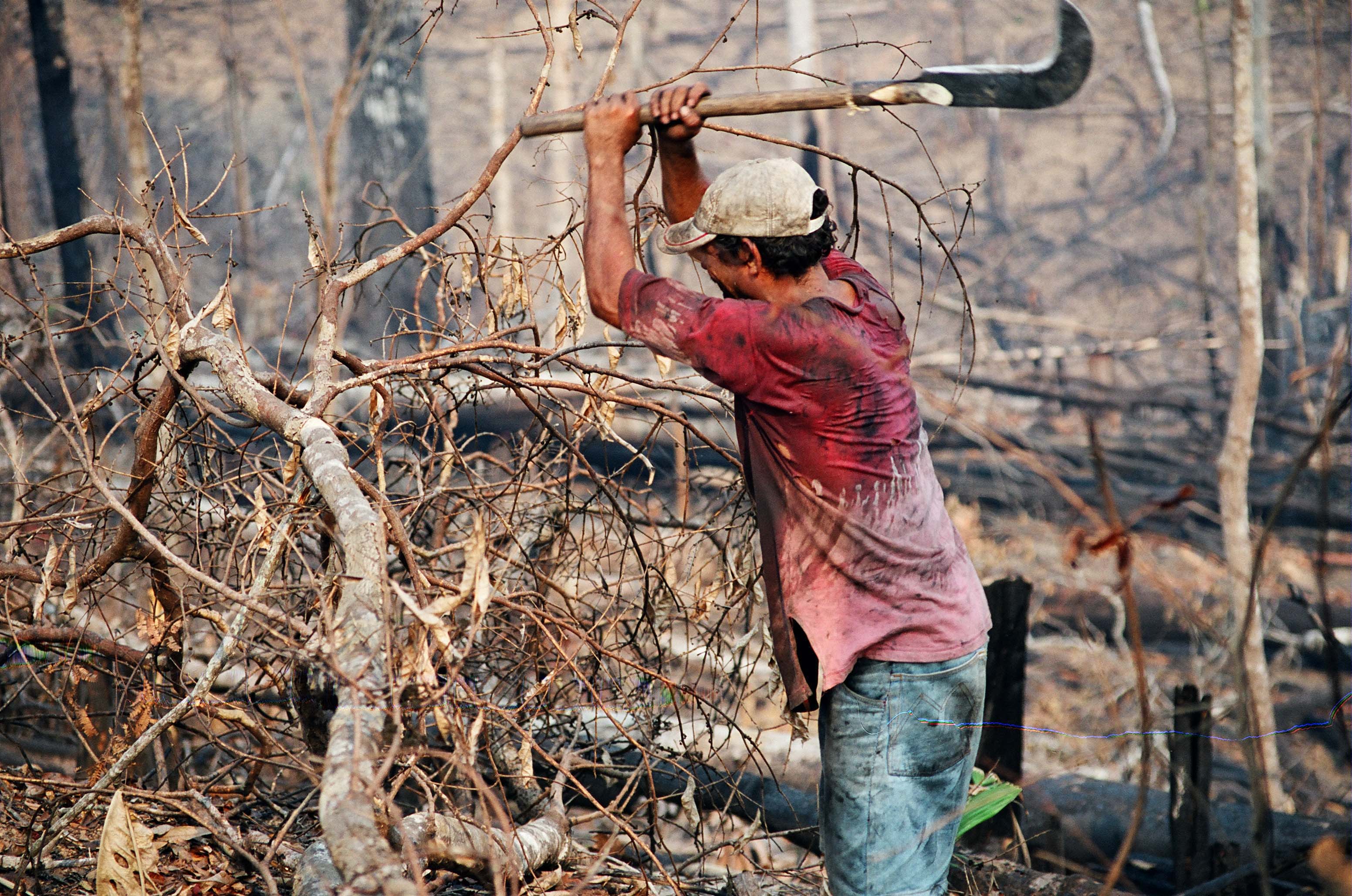 La Nueva Tierra… de los sin tierra