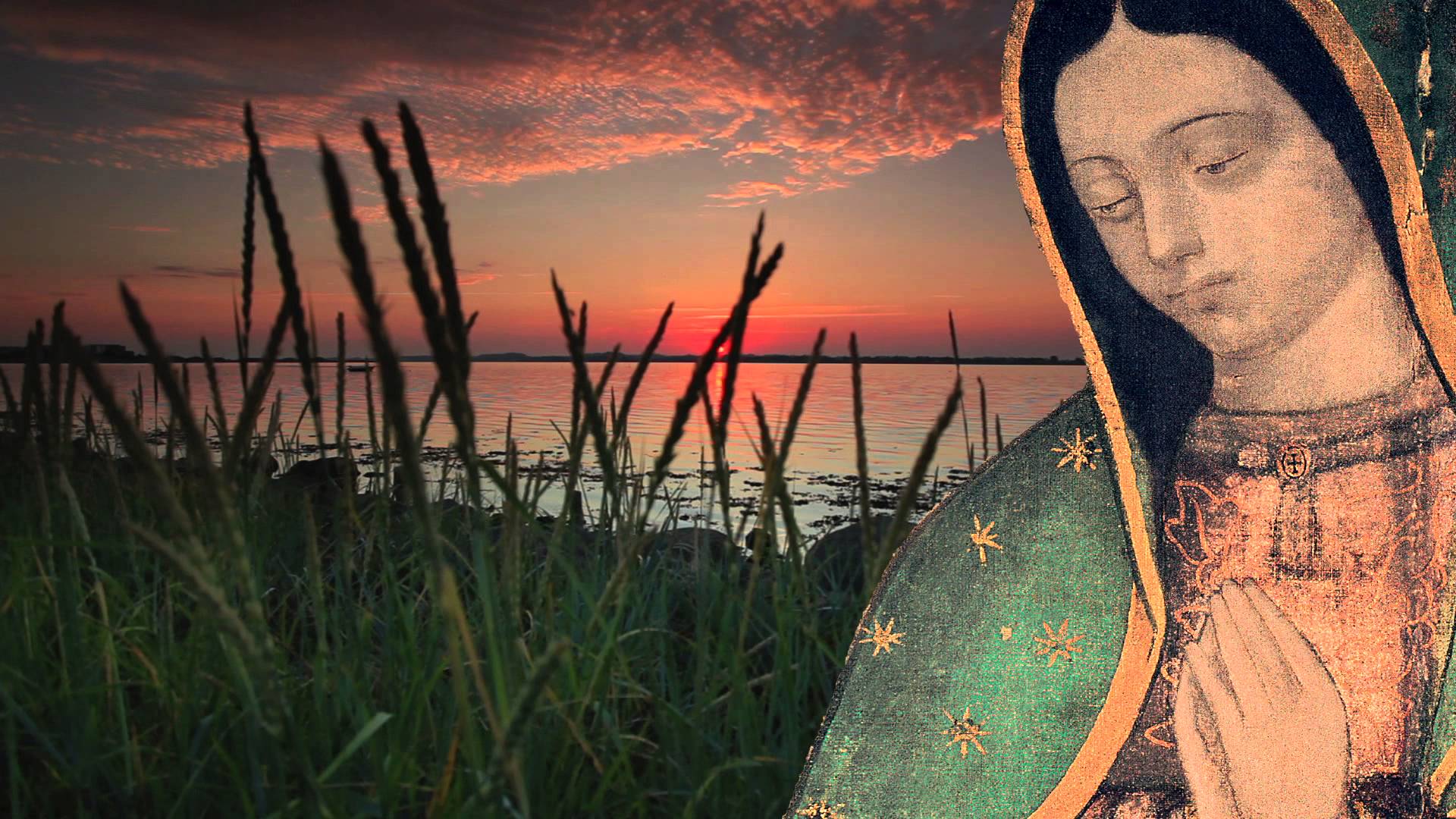 El Papa confirma su viaje a México: “A Guadalupe llevaré los sufrimientos de los pueblos americanos”