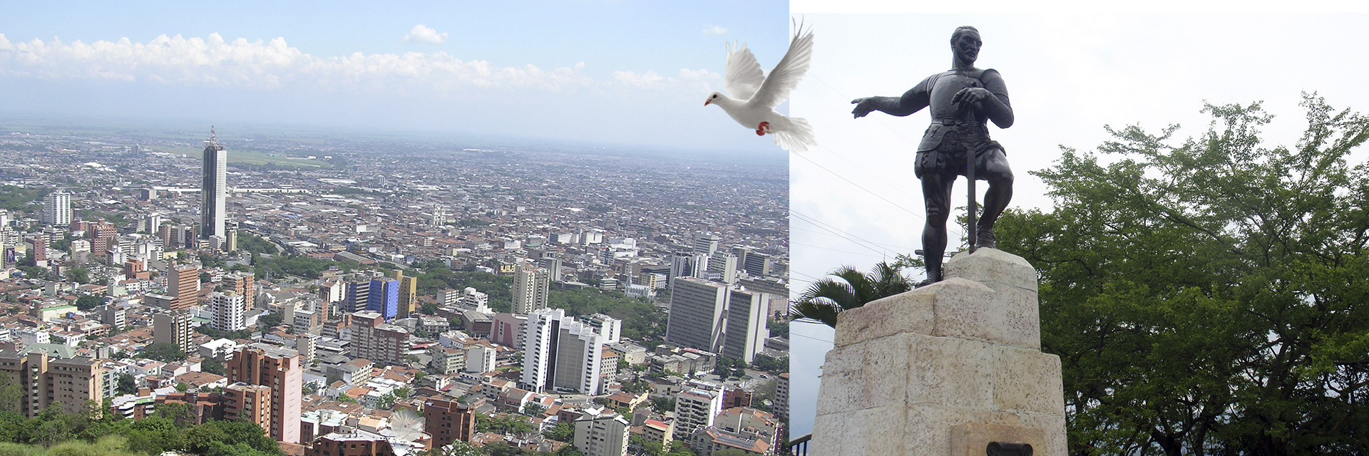 La Semana por la Paz trascendió a un Año por la Paz