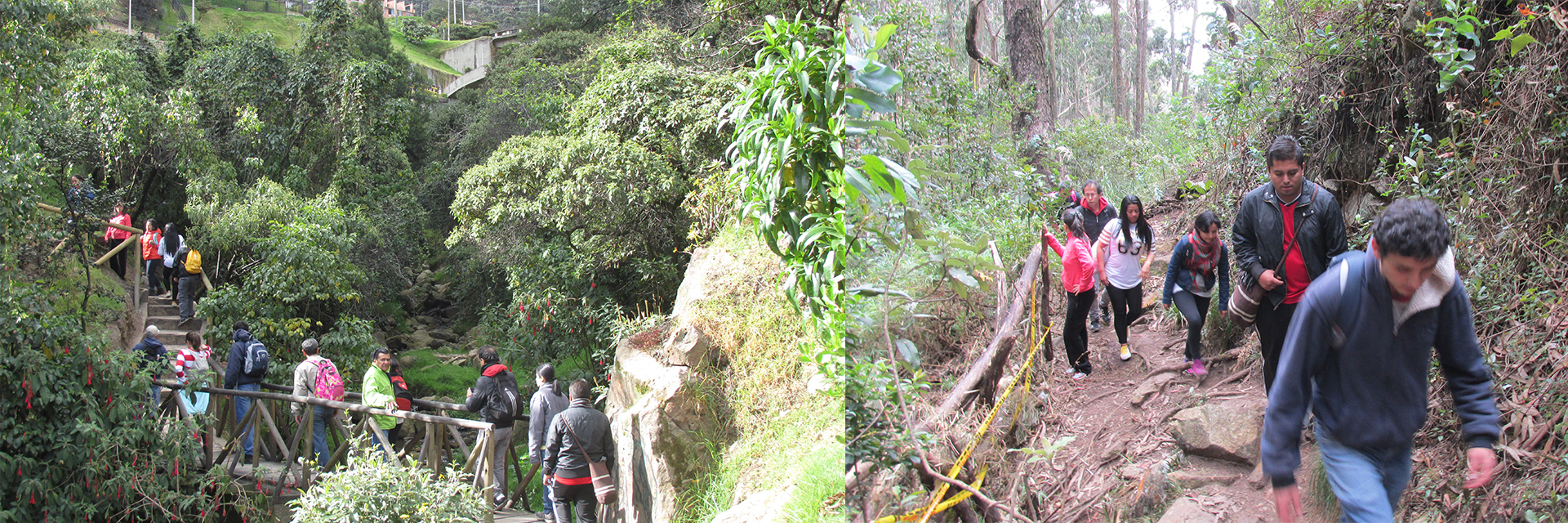 Caminata: Orar con la naturaleza
