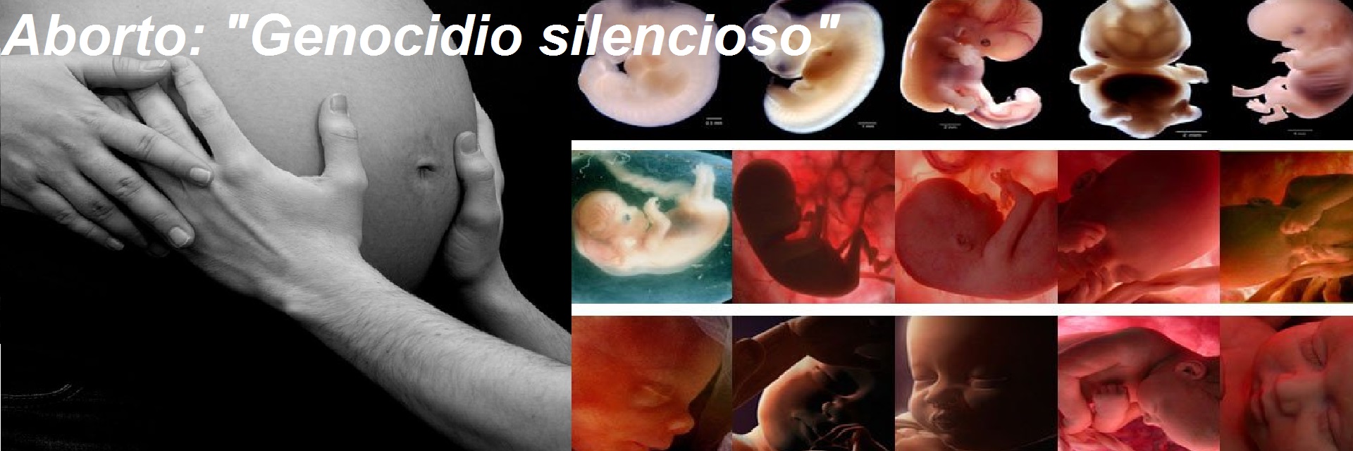 Proyecto del aborto en Chile busca legalizar “genocidio silencioso”