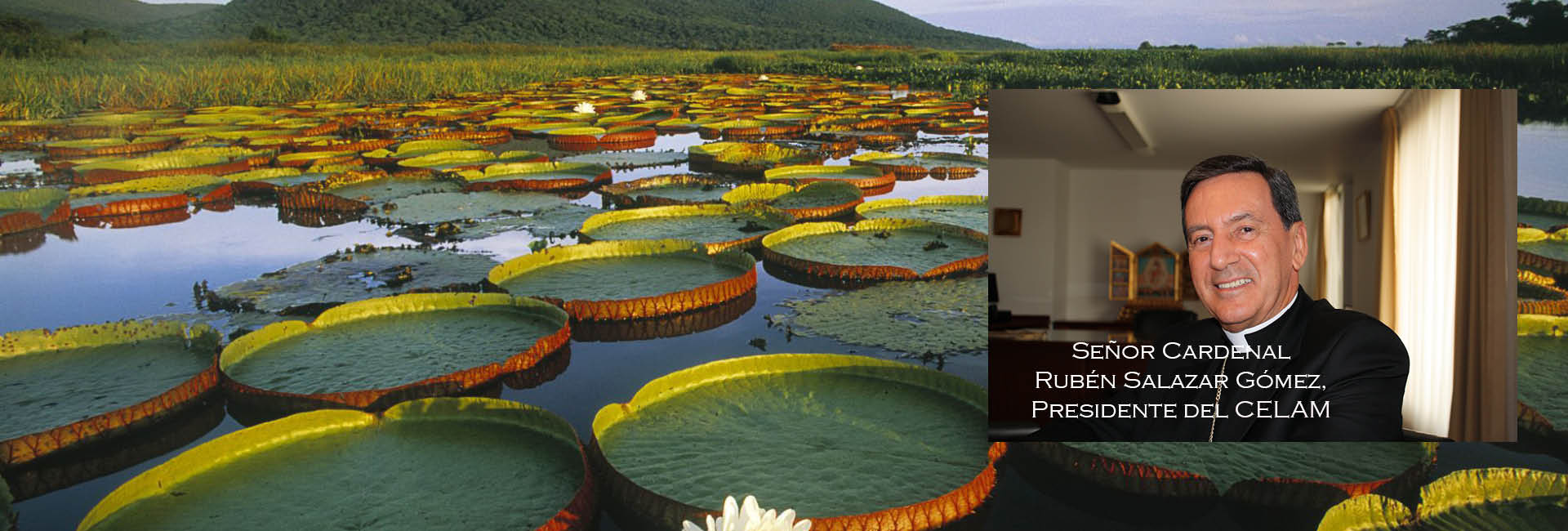 El cardenal Salazar:"La Iglesia no tiene poder, pero trabaja con las conciencias"