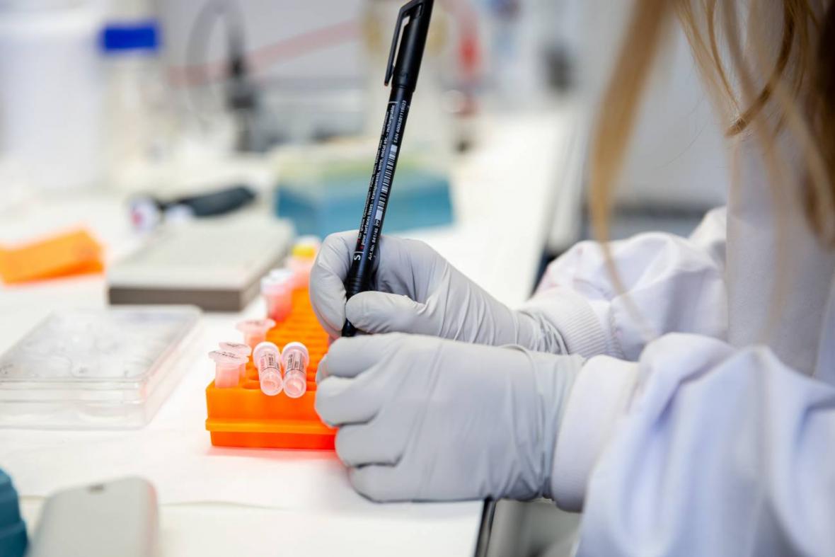 Intención de oración del Papa para marzo: “Dar una respuesta cristiana a los retos de la bioética”