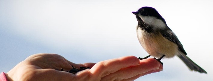 Padre Carlos Marín G.