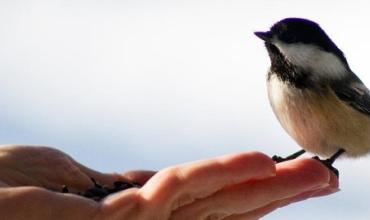 Padre Carlos Marín G.